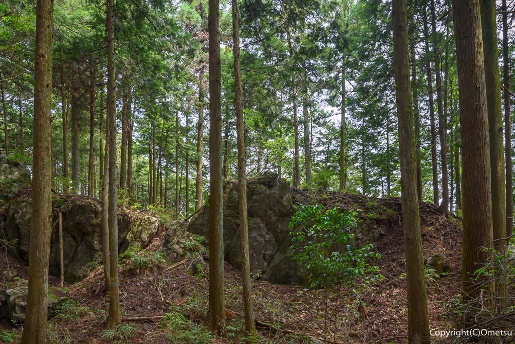 青梅丘陵・辛垣城跡の岩