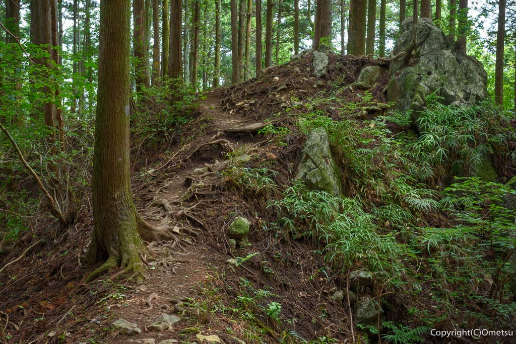 青梅丘陵・辛垣城跡〜辛垣山の登山道