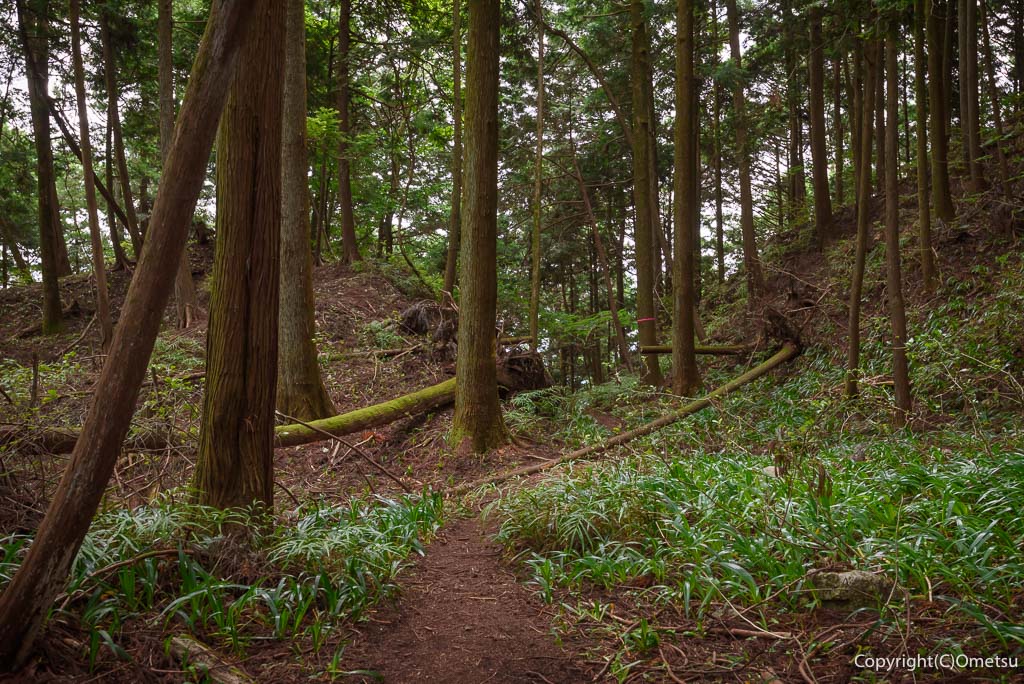 青梅丘陵・辛垣城跡