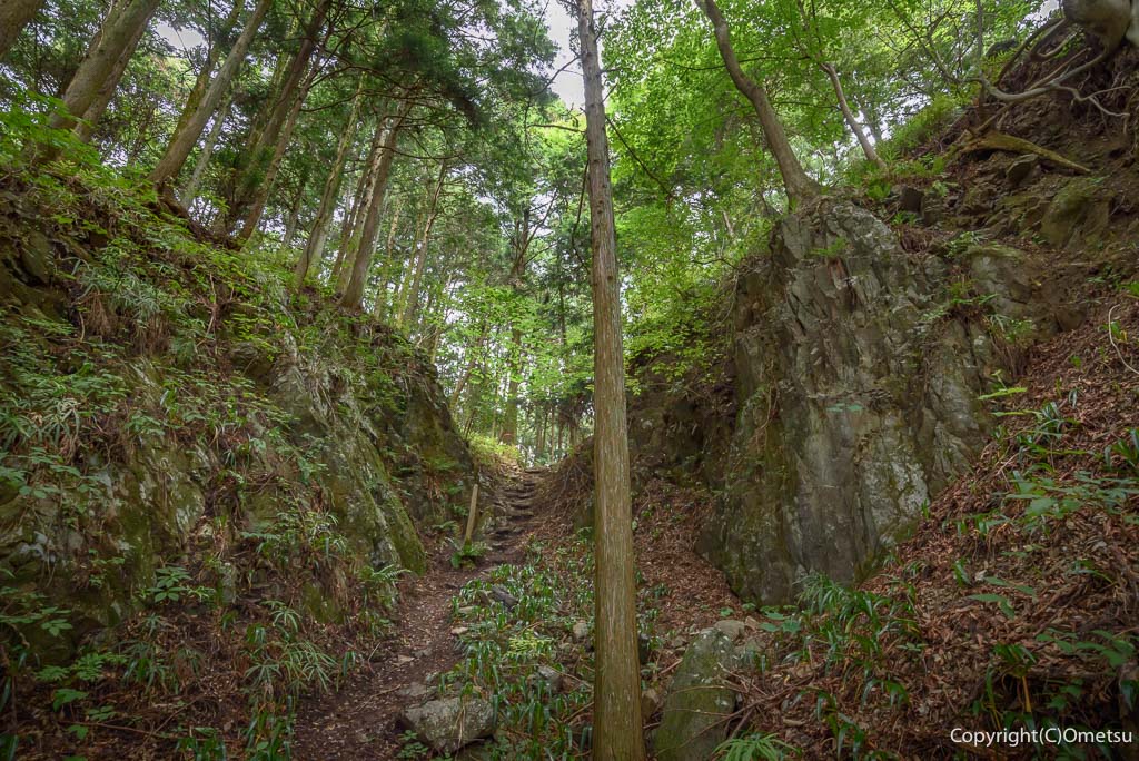 青梅丘陵・辛垣城の、堀切