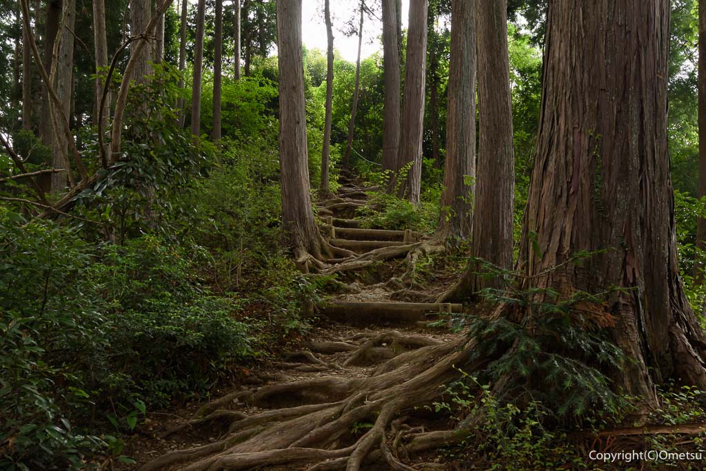 青梅丘陵・名郷峠〜三方山の、登山道