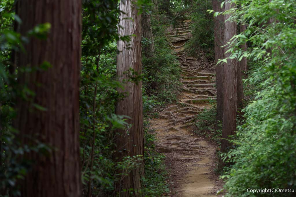 青梅丘陵の、登山道の急登