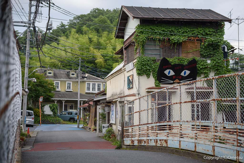 青梅駅付近の、跨線橋と、カフェ・夏への扉