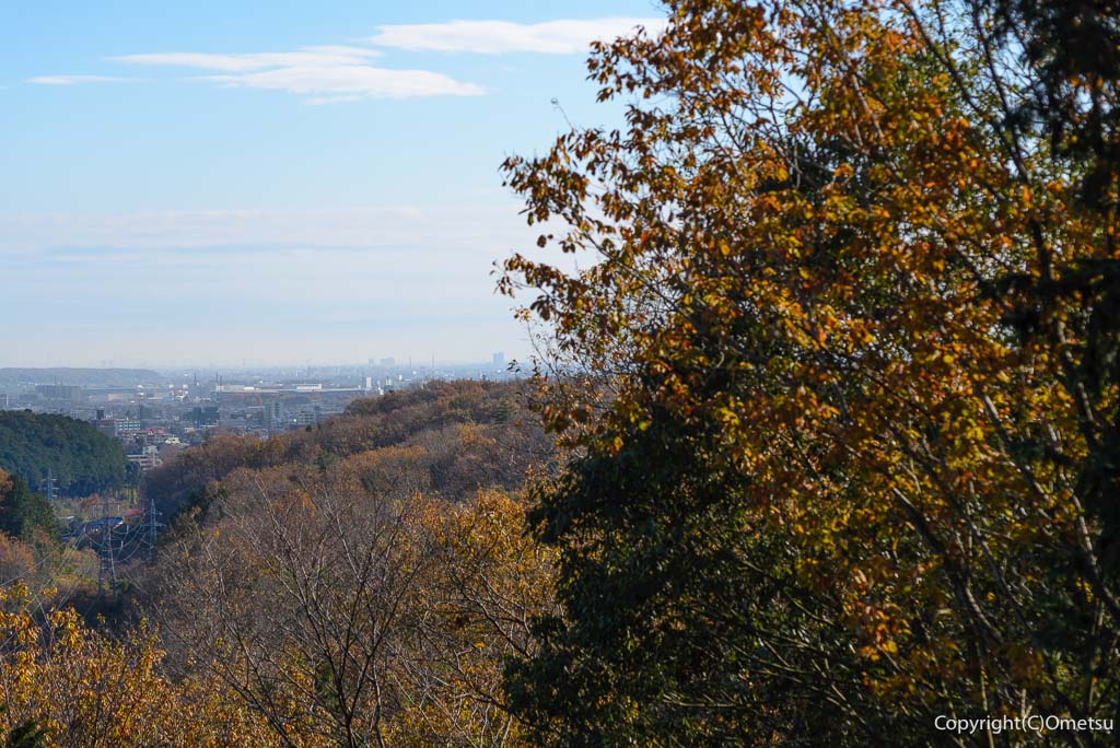 青梅丘陵から、武蔵野台地を望む