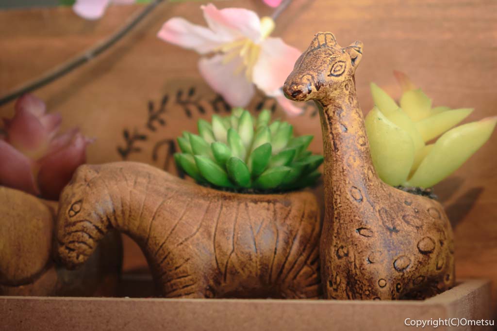 羽村市・小作台の雑貨店&カフェ、Anne＆non nonの、動物の置物