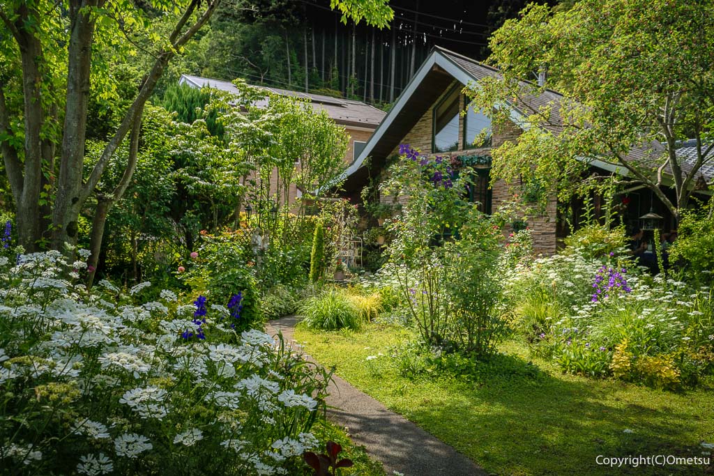 青梅市・成木のレストラン「コンブリオ」の英国庭園