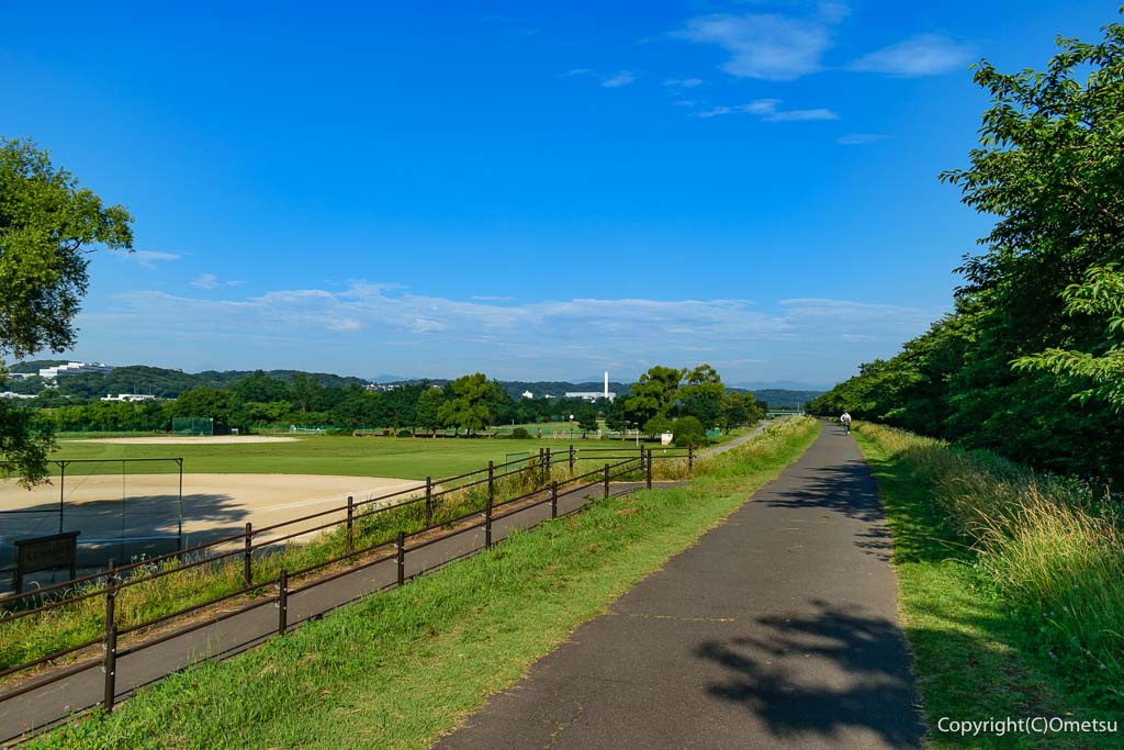 多摩川・河川敷、昭島クジラ発見場所
