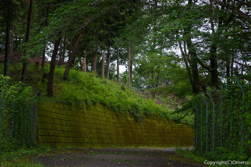 青梅市・霞丘陵ハイキングコースの、林道