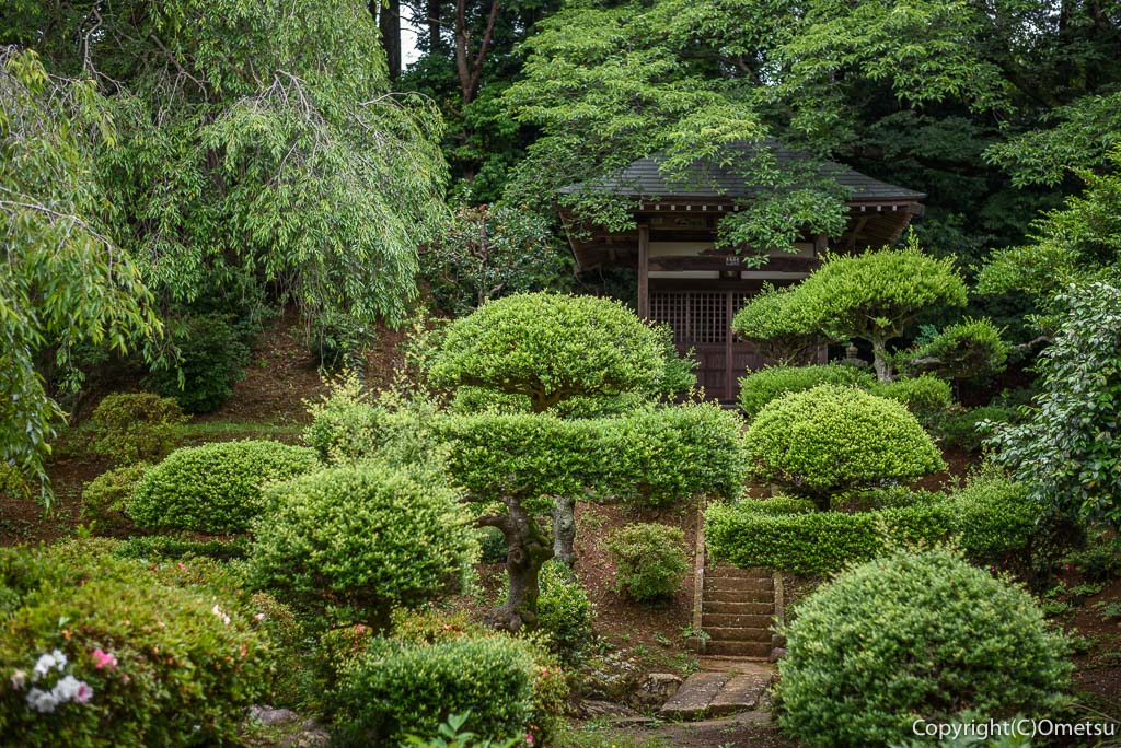 青梅市・真浄寺の庭