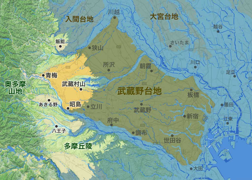 東京湾・武蔵野台地、アキシマクジラ・200万年前の海水面の地図