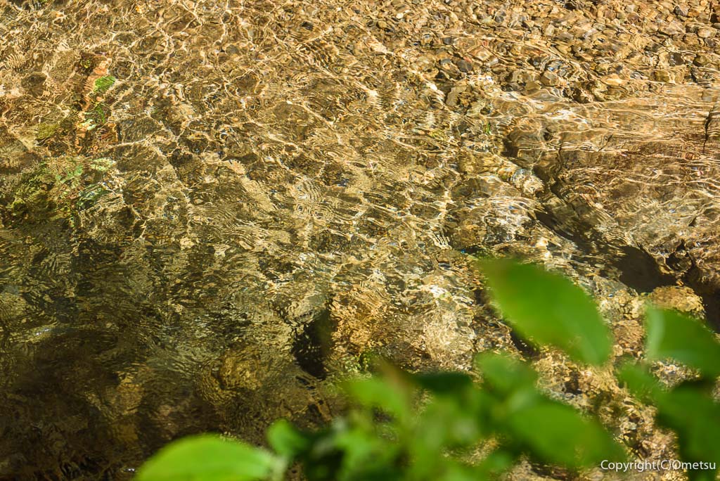 東京都あきる野市・大岳鍾乳洞付近の沢の清流