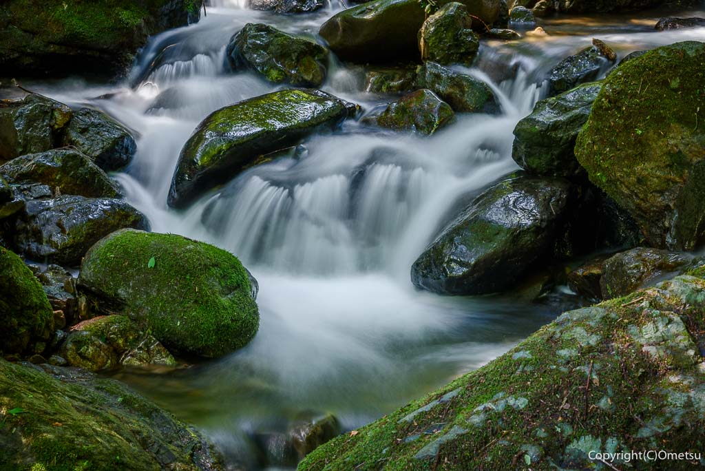 東京都あきる野市・大岳鍾乳洞付近の沢