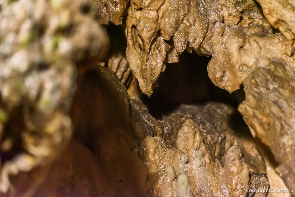 東京都あきる野市・大岳鍾乳洞の、鍾乳石