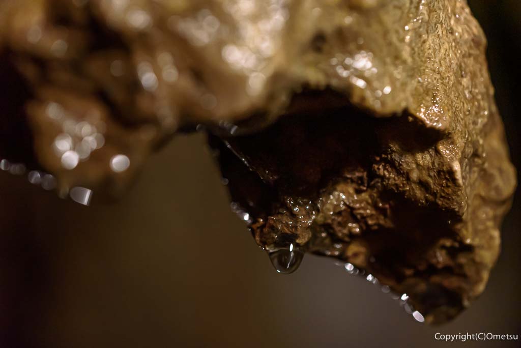 東京都あきる野市・大岳鍾乳洞の、鍾乳石