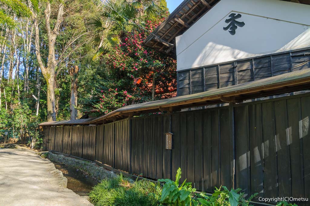 国分寺市 お鷹の道