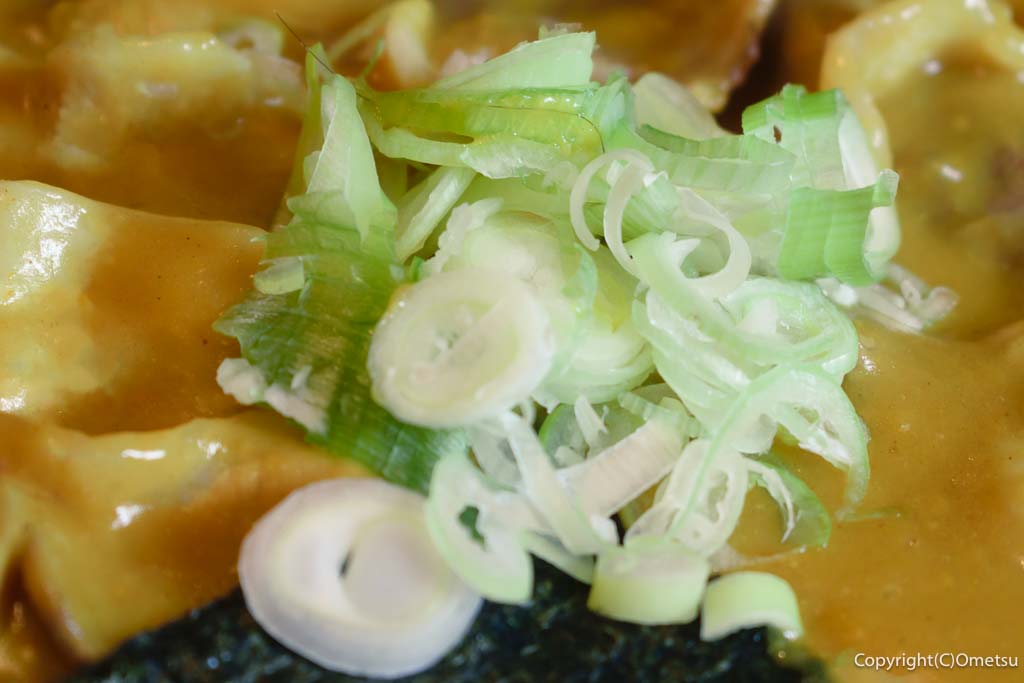 東青梅のうどん店「根岸屋」の、「TOKYO-X カレー南ばん」の、ネギ