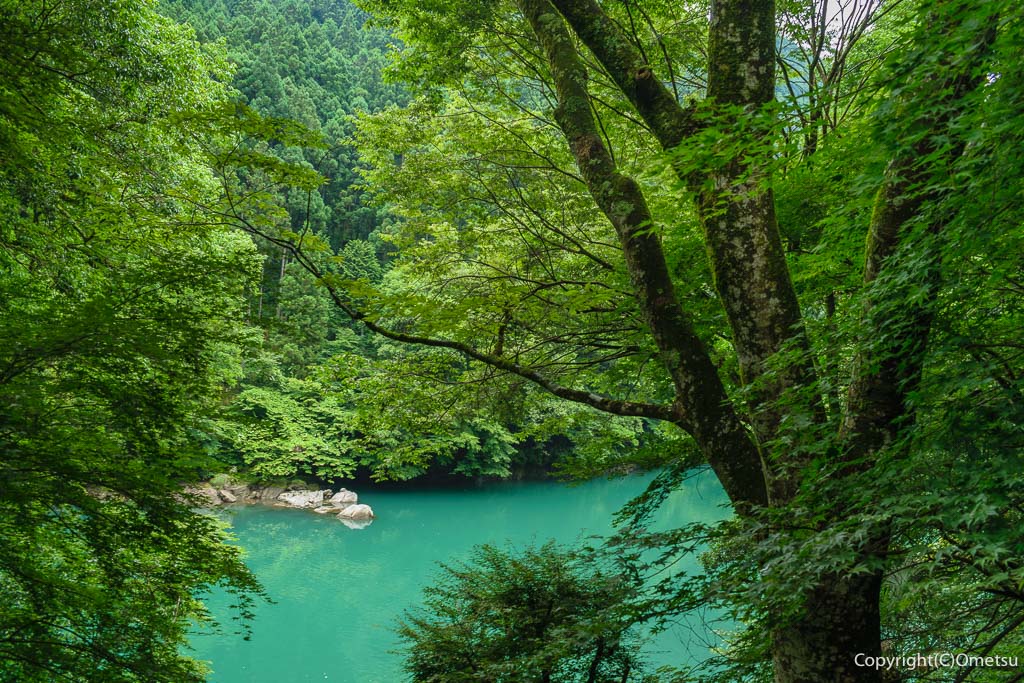 奥多摩町の「しろまるカフェ」から、白丸湖を望む