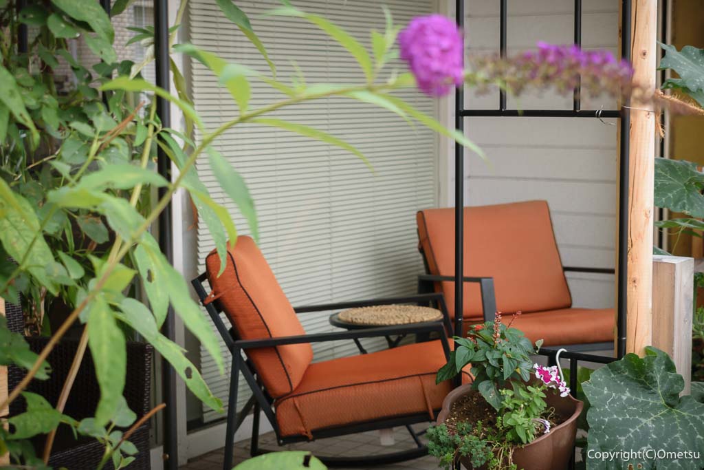 羽村の、Philia Cafe(フィリア カフェ)の、テラス席