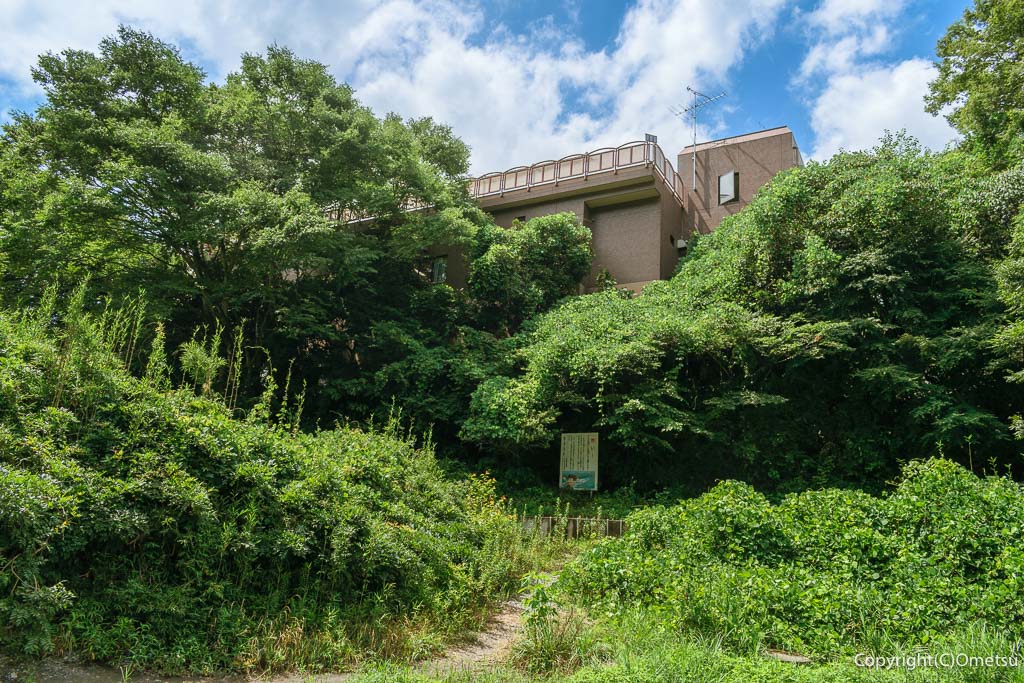 青梅市・御岳渓谷からの、川井市民センタープール