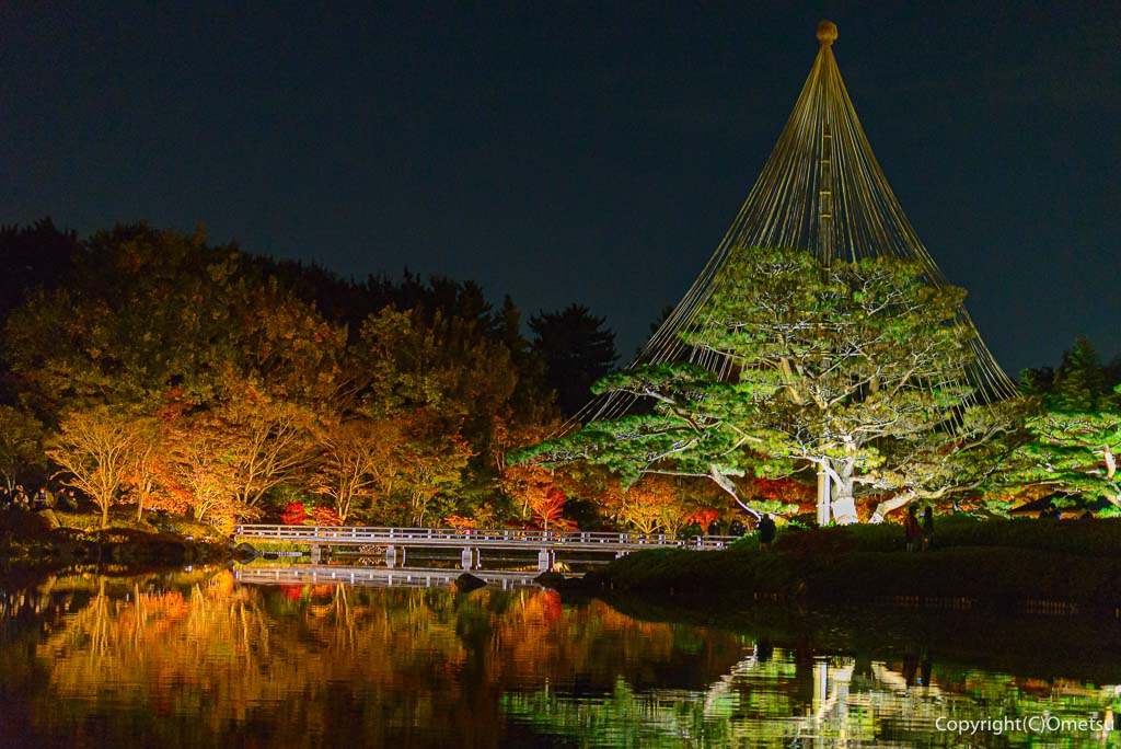 立川 昭和記念公園