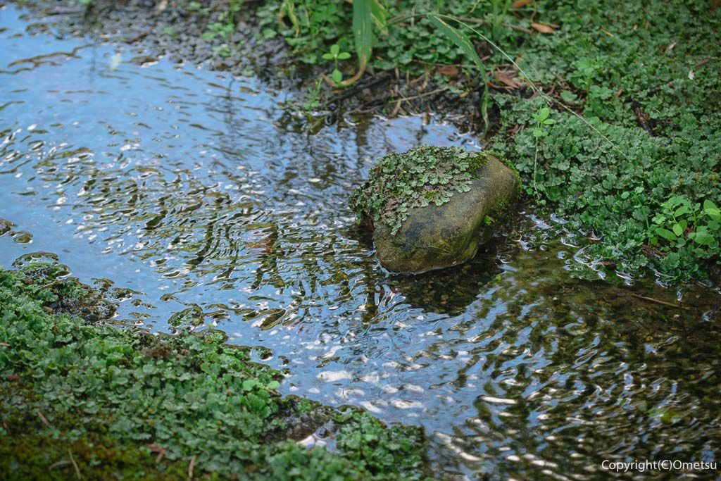 羽村市・一峰院の、水流