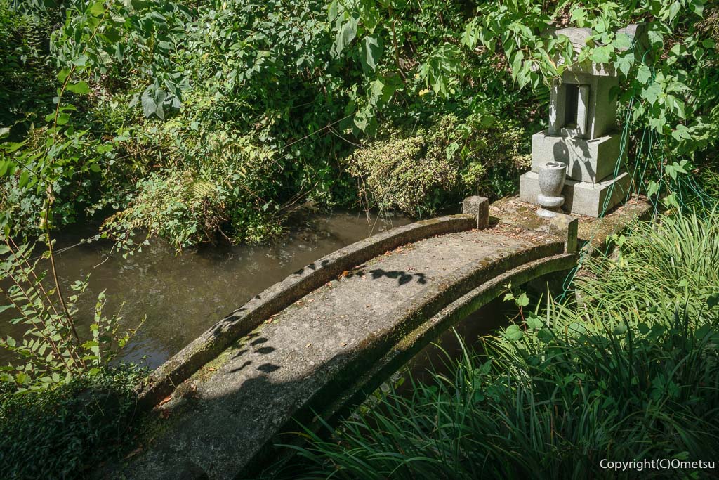 羽村市・一峰院の、ハケの池