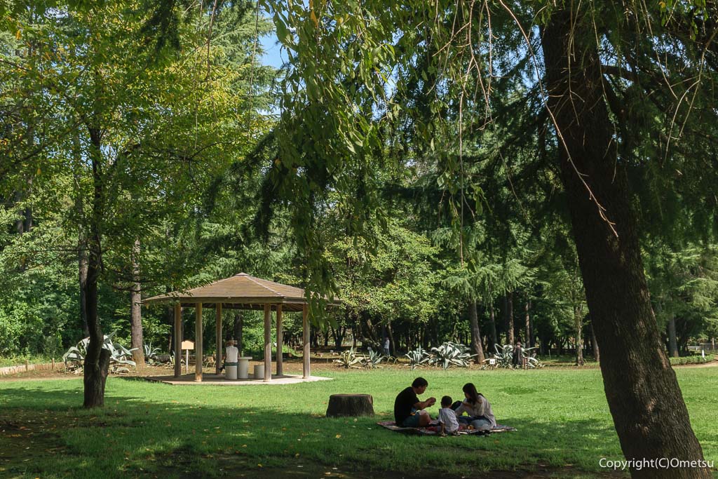 東京都・瑞穂町「みずほエコパーク」の、芝生広場