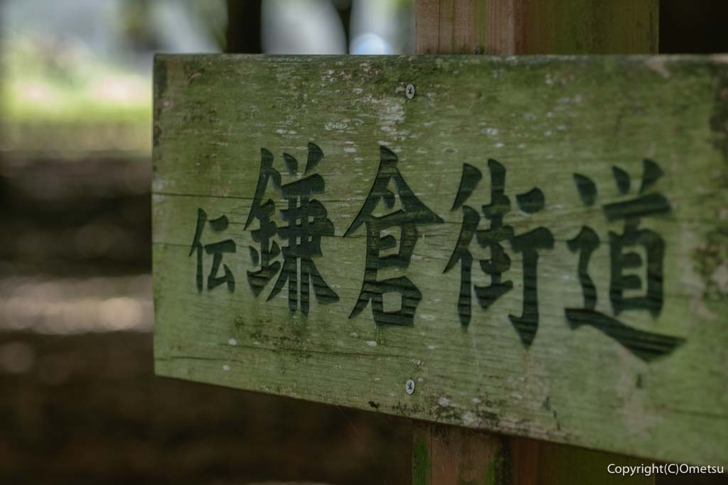 東京都・瑞穂町「みずほエコパーク」の、伝鎌倉街道