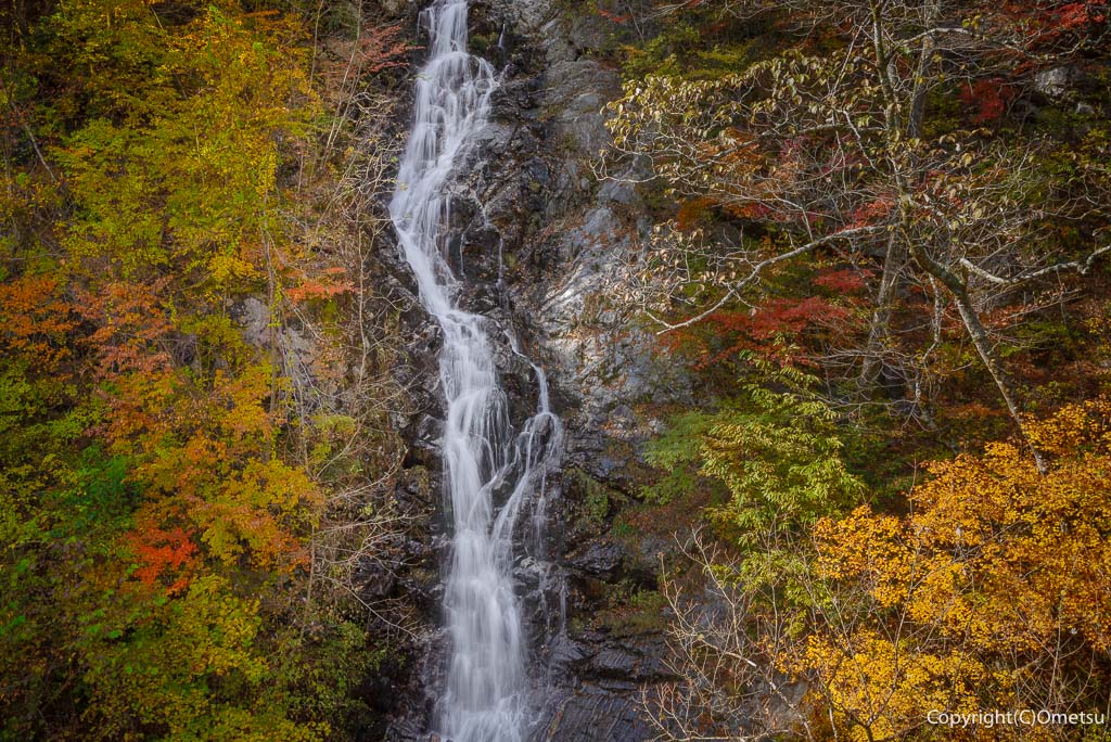 檜原村・都民の森の、三頭大滝