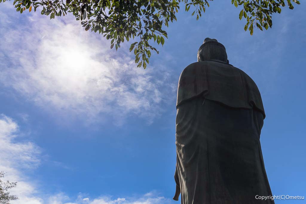 青梅市・塩船観音寺、観音像
