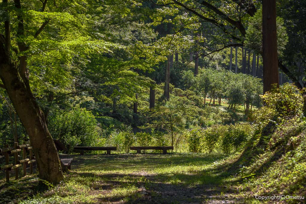 青梅市・霞丘陵自然公園の、ベンチ