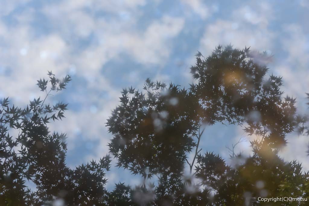 青梅市・霞丘陵自然公園の、池に映る空