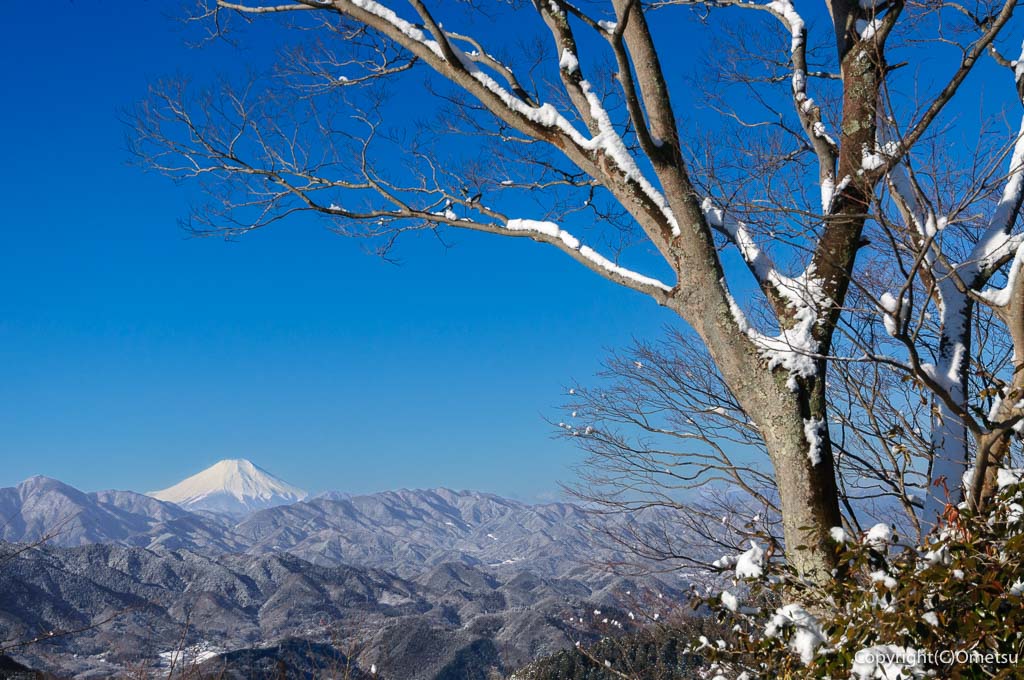 高尾山からの、富士山