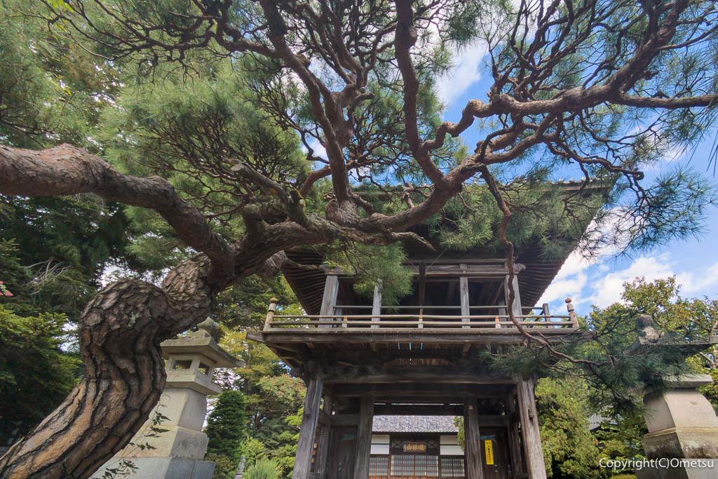 羽村市・一峰院の、山門