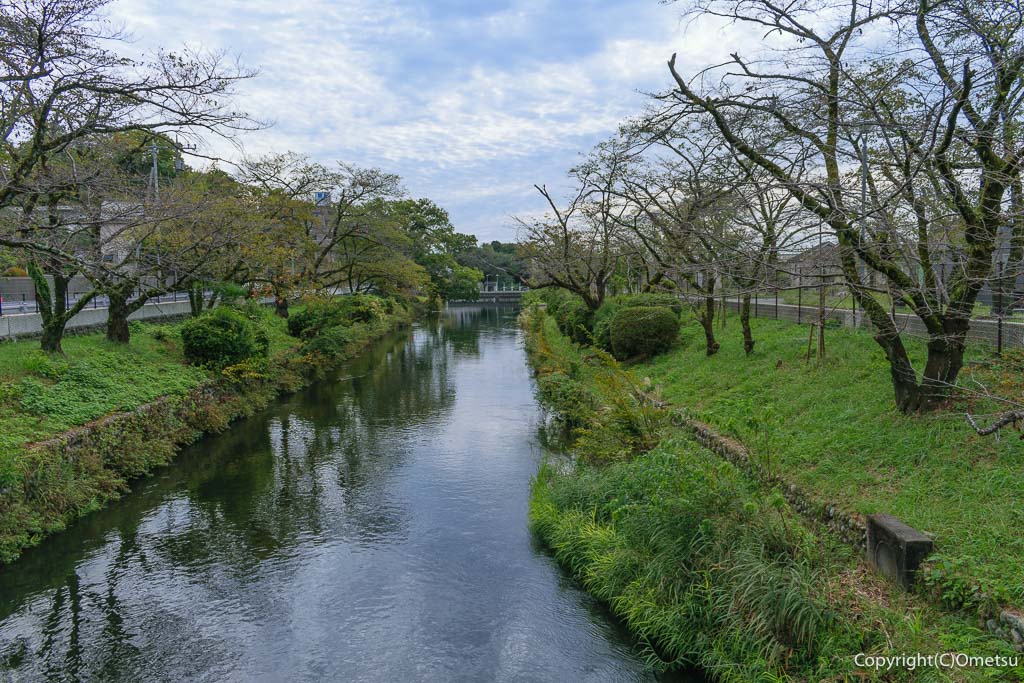 羽村橋からの、玉川上水