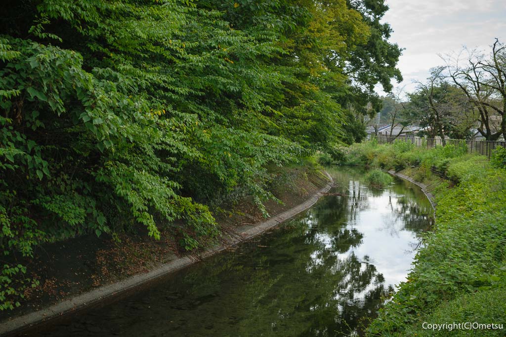 羽村付近の、玉川上水