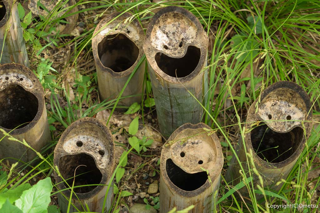 福生加美上水公園ビジターセンターの、庭の竹細工