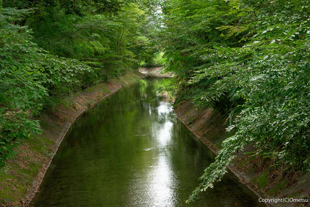 加美上水橋からの玉川上水
