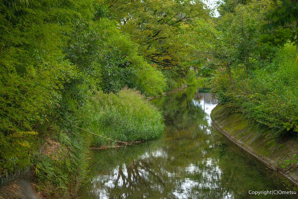 加美上水橋からの玉川上水