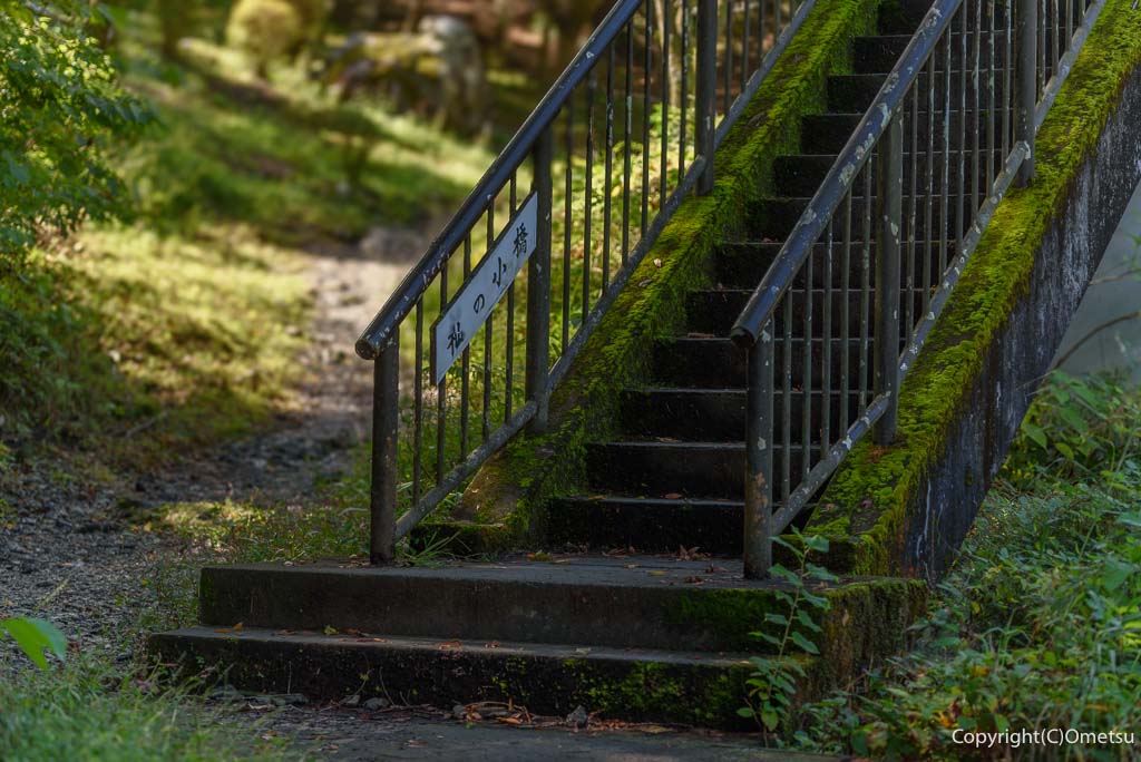 青梅市・御岳渓谷の、杣の小橋の、階段