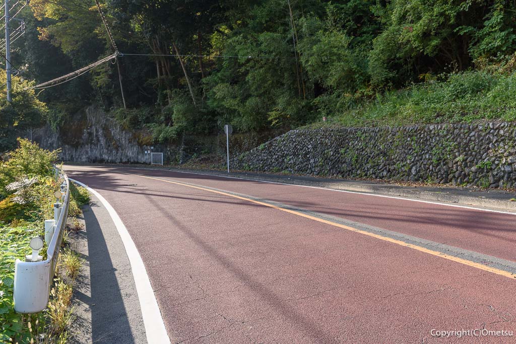 奥多摩町・御岳渓谷近くの、青梅街道