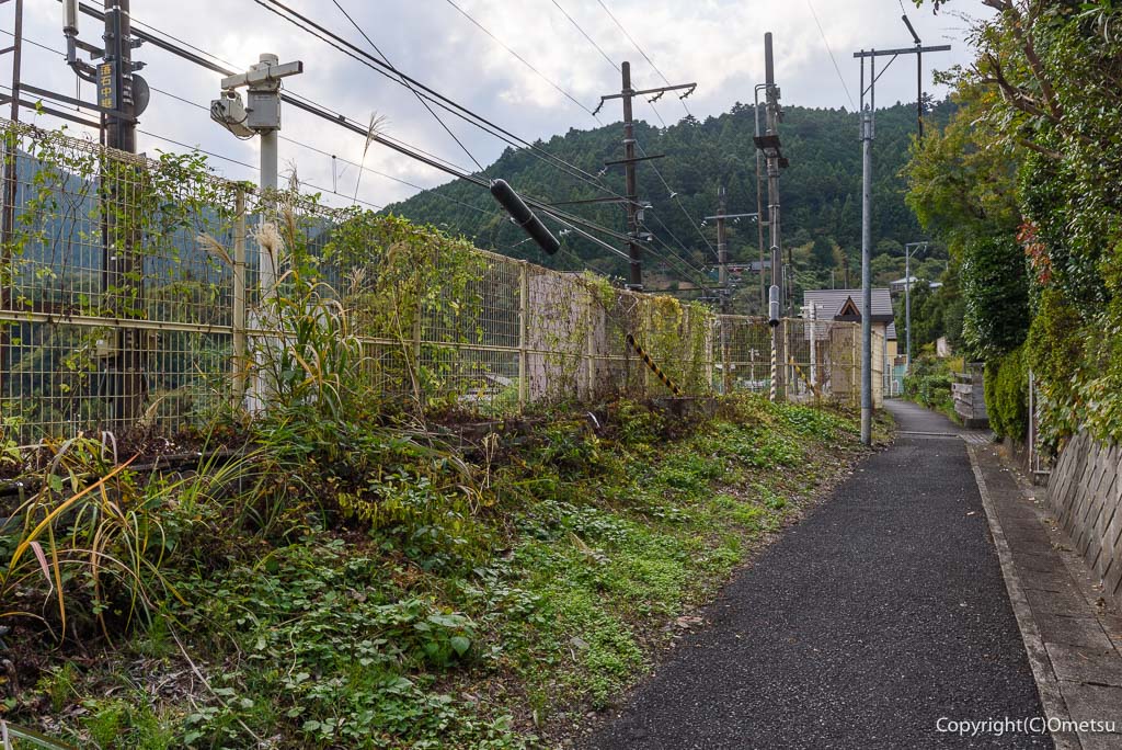 奥多摩町、川井駅近くの道