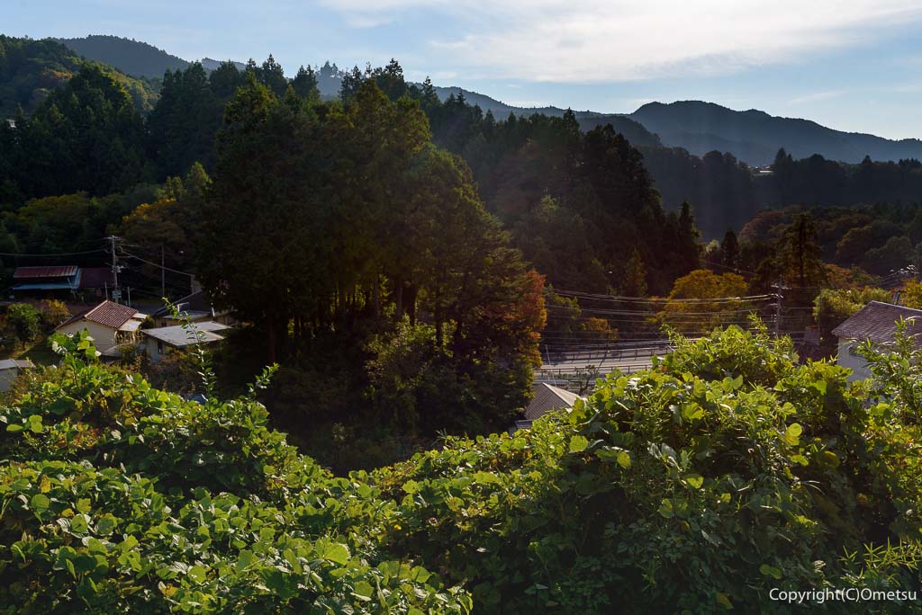 JR青梅線・軍畑駅前からの光景