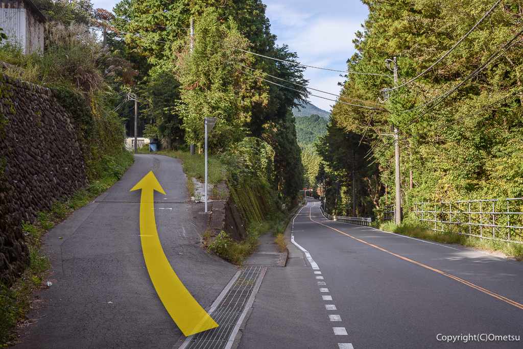 青梅市・大入林道