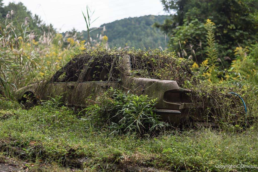青梅市・大入林道の、放置自動車