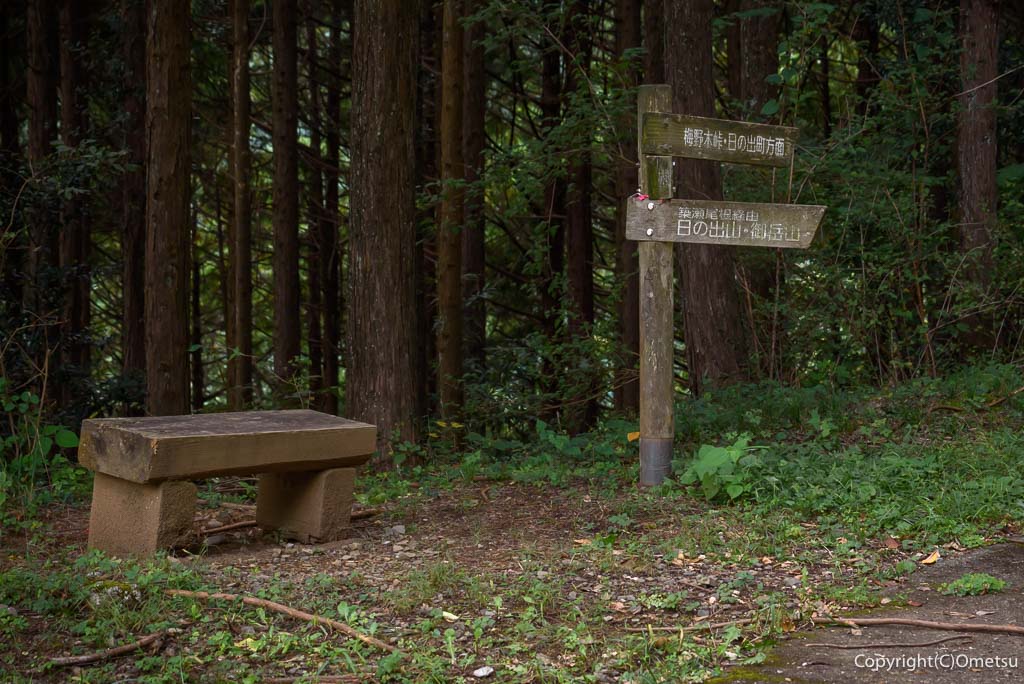 青梅市・大入林道の、日の出山・築瀬尾根登山口