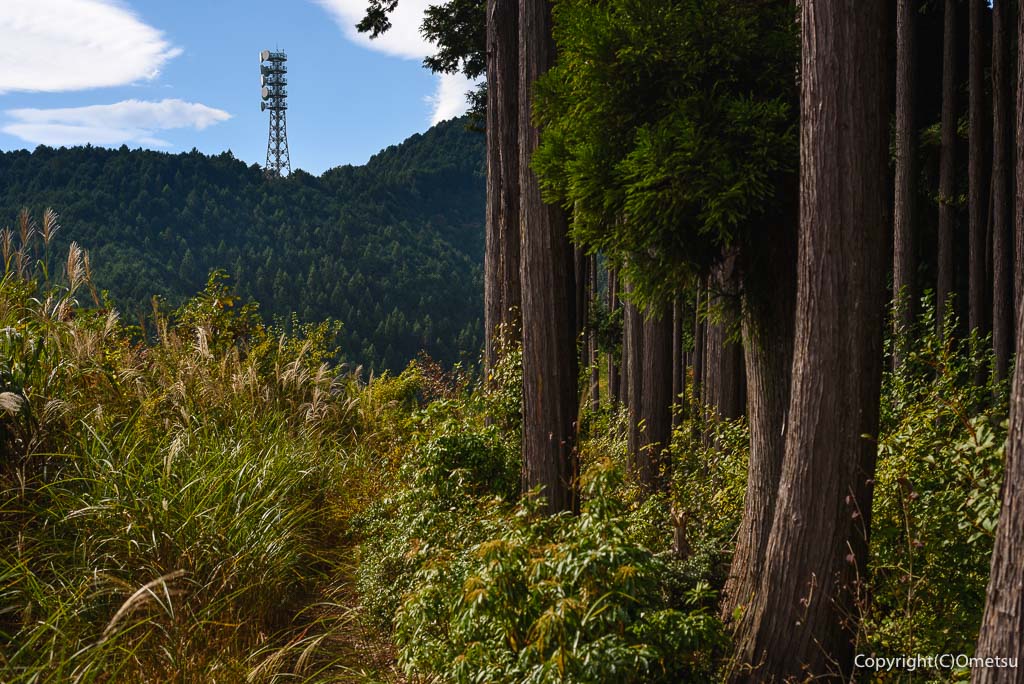青梅市・日の出山・築瀬尾根からの、マイクロ波中継局