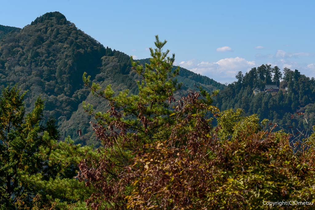 日の出山・山頂から、武蔵御嶽神社の展望