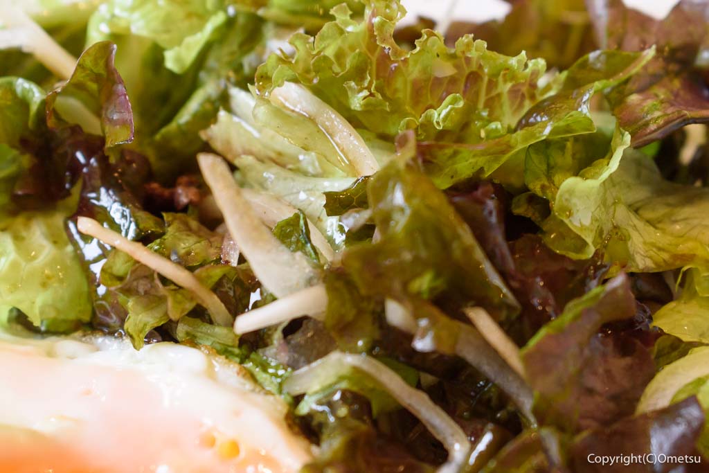 青梅市・勝沼「KTホールギャラリーぶらりカフェ」の、日替わりランチの、サラダ