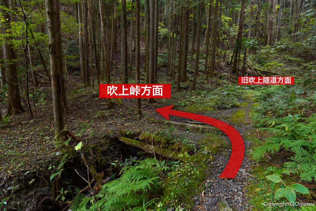 青梅市・吹上峠・登山道